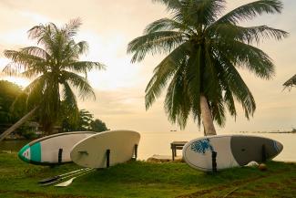 white and black surfboard on green grass near body of water during daytime by engin akyurt courtesy of Unsplash.