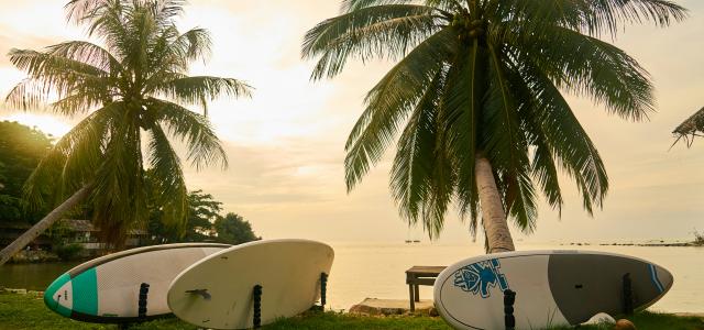 white and black surfboard on green grass near body of water during daytime by engin akyurt courtesy of Unsplash.